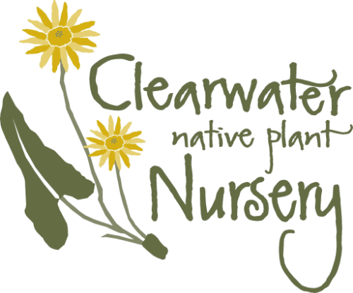 Clearwater Native Plant Nursery